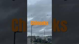 Chinooks From my Desk at Work!!!!