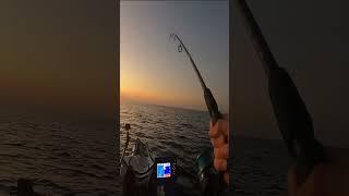 Saltwater Kayak Fishing for Blackfin Tuna on a 2023 Hobie Outback