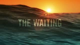 The Waiting: A Ballard and Bosch Novel