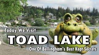 Toad Lake Bellingham, Also Known As Emerald Lake East Of Downtown Bellingham Washington