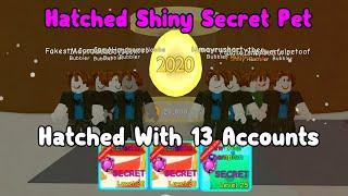 Hatched 2020 Egg With 13 Accounts And I Got These Pets! - Bubble Gum Simulator Roblox