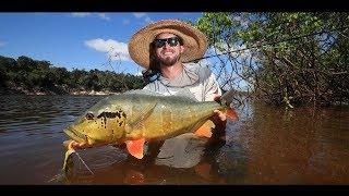 Agua Boa Amazon Lodge - Fly Fishing For Peacock Bass in Brazil