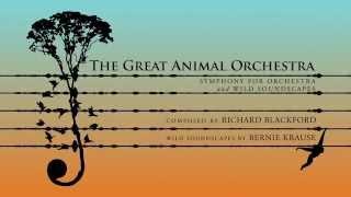 The Great Animal Orchestra Symphony for Orchestra & Wild Soundscapes | UK