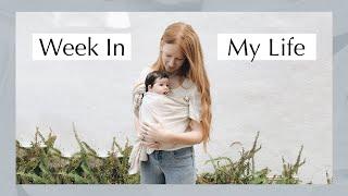 WE'RE BACK | Week in My Life with a 6 Month Old | Cassie Dulworth