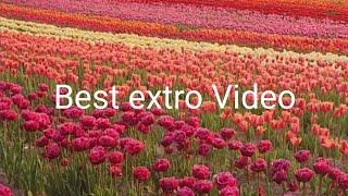 My Extro Video|@ bava mardal in canada