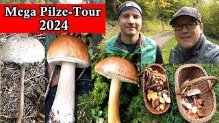 Steinpilze, Parasol, Maronen  Massenhaft Pilze | Mega Tour 2024