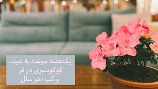 یک هفته مونده به عید، کوکو سبزی در فر و گپ آخر سال