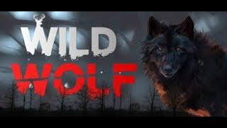 'The Jungle Wolf' New Action Full Movie    Latest Action 2020