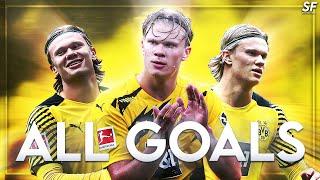 Erling Haaland 2020/2021 ● All Goals ᴴᴰ