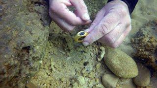 IAA Caesarea Under Water Treasure