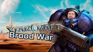 StarCraft: Brood War. Терраны. 29 октябрь 2024