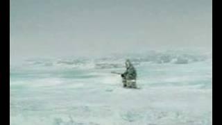 eskimo getting eaten by whale