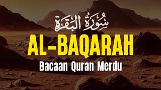 SURAH AL BAQARAH | Setan Kabur dari Rumah | Penenang Hati dan Pikiran | Khedr Rashad