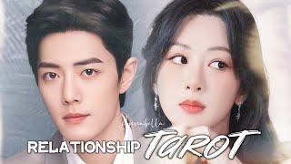 Xiao Zhan & Yang Zi - Relationship Tarot Reading Update | 肖战 Tiêu Chiến & 杨紫 Dương Tử