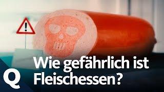 "Wurst verursacht Krebs": Faktencheck der WHO Studie | Quarks