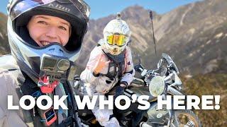 The Rainbow Road on a motorcycle | On Her Bike & Off She Goes in NEW ZEALAND [S6-E5]