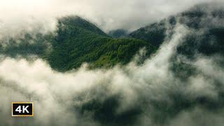 Did You See the Green Magic in Carpathians? / Misty Mountains, Forests & Fog / Cinematic Nature 4K