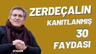 ZERDEÇAL NE İŞE YARAR  ZERDEÇALIN FAYDALARI  ZERDEÇAL NASIL KULLANILIR