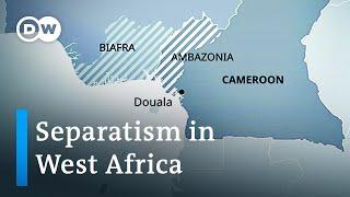 Can separatists in West Africa strongarm their way to independence? | DW News