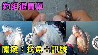 釣組很簡單 關鍵：找魚＋訊號