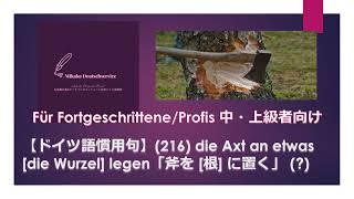 【改訂版】【ドイツ語慣用句】(216) die Axt an etwas [die Wurzel] legen「斧を [根] に置く」(?) 中・上級者向け。