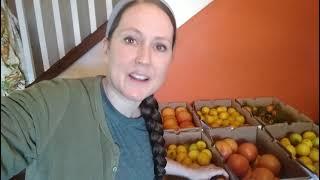 Bulk Citrus Haul ~ Preserving Lemons