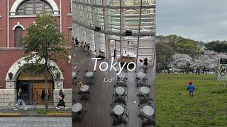 Tokyo도쿄 part 2. | 걸어서 신미술관에서 오모테산도 힐즈까지 | 최애 돈카츠 | 공원에서 피크닉 | 시부야 야경 맛집 | 2만보는 거뜬히