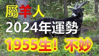 2024生肖運勢1955年出生屬羊人是乙未羊，那麼五行屬金，金羊對於70歲的屬羊人命運而言，今年是一個充滿變數和機遇的一年。生肖羊以其溫和、這一年裡，他們需要面對一系列挑戰和機遇，十二生肖（生肖）