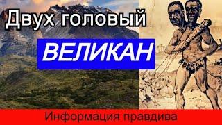 Двух головый великан из Патагонии.  Информация правдива. Мумия как доказательство.