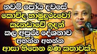 කොවිද හාමුදුරුවෝ කැනඩාවේ ඉදන් කරපු අපූරූ දේශනාව | Boralle Kovida Thero Bana 2024 | Bana 2024 new