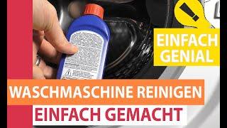 Waschmaschine reinigen - Komplette Waschmaschine mit Schublade & Türdichtung sauber machen