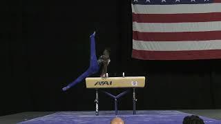 Fred Richard - Pommel Horse - 2022 U.S. Classic - Men - Session 1