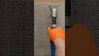 Amazing results  #carpetcleaning Music: BloomerMusician: EnjoyMusicURL: https://enjoymusic.ai