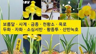 9월22일 보름달ㆍ남산관ㆍ천황소ㆍ금종ㆍ옥로ㆍ수채두화ㆍ자화ㆍ소심서반ㆍ황중투ㆍ산반녹호소개합니다.