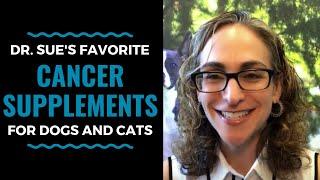 Dr Sue's Favorite Cancer Supplements for Dogs and Cats: VLOG 39