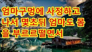 20억 친정재산을 지키려던 아내의 재빠른 이혼소장에 1주일 알면어쩔건데로 대응한 무대뽀 남편사연라디오썰사연읽어주는여자네이트판사이다사연신청낭독부부결혼이혼시댁  /  기적