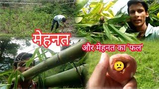 This is real hill life | Mountain lifestyle |  Pahadi village life | Uttarakhand