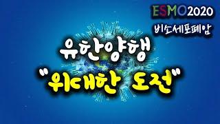 유한양행이 쏘아올린 공 :  레이저티닙의 블록버스터 가능성