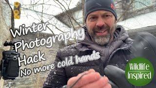 Cold Weather Hack for Wildlife Photography