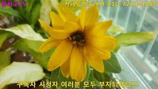 땅사고TV[임동성]  여러분 모두 부자되세요!!!