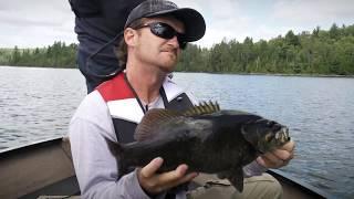 Schooling Smallmouth Smash-Up | Fish'n Canada