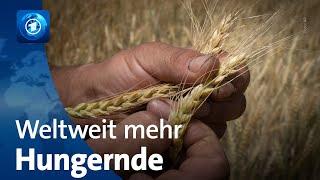 Bericht der Welthungerhilfe: Immer mehr Menschen müssen hungern