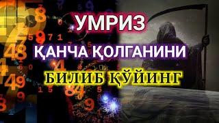 ҚАНЧА УМРИНГИЗ ҚОЛГАНИНИ БИЛИБ ОЛИНГ. Нумерология