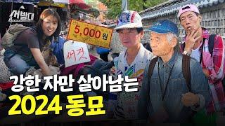 가을맞이, 동묘에서 패션을 묻다 | 선발대 / 14F