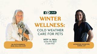 Winter Wellness: Cold Weather Care for Pets