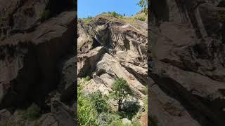 Bhir mauri in Langtang national park || Mad honey bee hives in Nepal || Trekking in Nepal || #travel