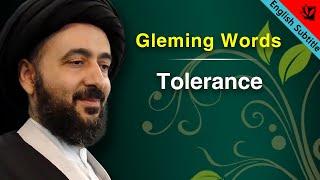 Tolerance - Ayatollah Sayed Mohammad Redha Shirazi