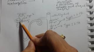 RENAL TUBULAR ACIDOSIS | USMLE STEP 1