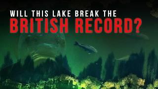 British CARP Record under THREAT!?