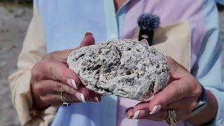 Woman finds ambergris on Florida beach. The whale poop could be worth a fortune